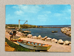 POSTCARD BY PALPHOT NO. 8187 The Boat Mooring At The School. ‏mevot Yam - Mikhmoret. ISRAEL - Israel