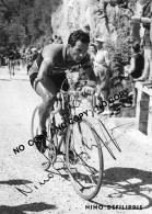 PHOTO CYCLISME REENFORCE GRAND QUALITÉ ( NO CARTE ), NINO DE FILIPPIS TEAM TORPADO 1954 - Radsport