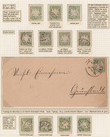 Bayern - Marken Und Briefe: 1876/1880, Wappen Pfennig-Ausgabe, Spezial-Sammlung - Andere & Zonder Classificatie