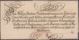 Sachsen - Marken Und Briefe: 1774-1920 Ca.: "Die Bahnpost Zwischen Dresden Und L - Saxe