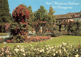 INSEL MAINAU IM BODENSEE - DER ROSENGARTEN - Otros & Sin Clasificación