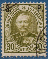 Luxemburg Service 1891 30 C S.P. Overprint (perforated 12) Cancelled - Dienstmarken