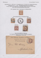 Deutsches Reich - Privatpost (Stadtpost): 1890/1896, OFFENBACH/Packet- U.Stückgu - Private & Lokale Post