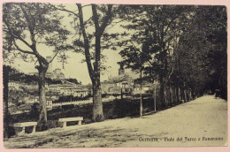 GEMONA VIALE DEL TURCO E PANORAMA / UDINE - Otros & Sin Clasificación