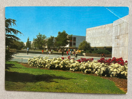 POSTCARD BY PALPHOT NO. 9303 THE HEBREW UNIVERSITY OF JERUSALEM. ISRAEL - Israel