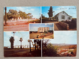 ATLIT, The Post Office, The Central Synagogue, Shikhun Kandi", Entrance To The Colony, Fortress. POSTCARD ISRAEL - Israël