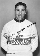 PHOTO CYCLISME REENFORCE GRAND QUALITÉ ( NO CARTE ), COLOMBO CASSANO TEAM LEO CHLORODONT 1955 - Wielrennen