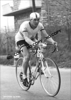 PHOTO CYCLISME REENFORCE GRAND QUALITÉ ( NO CARTE ), ANTONIO ULIANA TEAM LEO CHLORODONT 1955 - Wielrennen