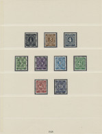Bizone: 1948, BAND/NETZ Aufdrucke, Gehaltvolle Postfrische Sammlung Auf Lindner- - Sonstige & Ohne Zuordnung