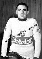 PHOTO CYCLISME REENFORCE GRAND QUALITÉ ( NO CARTE ), WALTER SERENA TEAM LEO CHLORODONT 1955 - Cyclisme