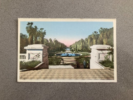 Alger - Le Jardin D'Essai Carte Postale Postcard - Algerien