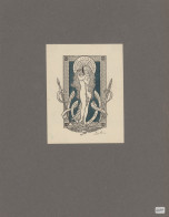 Varia (im Ansichtskartenkatalog): 1893/1921, Ex Libris, Sammlung Von Ca. 126 Stü - Andere & Zonder Classificatie