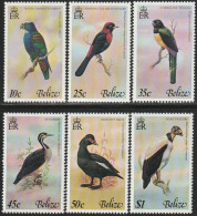 THEMATIC FAUNA:  BIRDS OF BELIZE (2nd Series)  WHITE CROWNED PARROT,CITREOLINE TROGON,KING VULTURE ETC  6v+BF     BELIZE - Andere & Zonder Classificatie