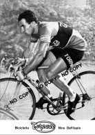 PHOTO CYCLISME REENFORCE GRAND QUALITÉ ( NO CARTE ), NINO DE FILIPPIS TEAM TORPADO 1955 - Wielrennen