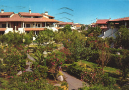 TOR SAN LORENZO, LAZIO, ARCHITECTURE, PARK, GARDEN, ITALY, POSTCARD - Sonstige & Ohne Zuordnung