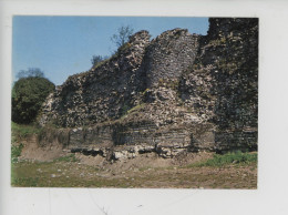 Bavai 59 Nord - Site Archéologique,le Mur Sud Et L'enceinte Antique (Gallo-romain) Cp Vierge N°3771 Europe - Bavay