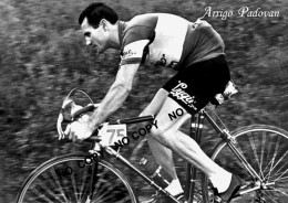 PHOTO CYCLISME REENFORCE GRAND QUALITÉ ( NO CARTE ), ARRIGO PADOVAN  TEAM LYGIE 1955 - Wielrennen