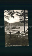 72199086 Schluchsee Bank Wald Aeule - Schluchsee