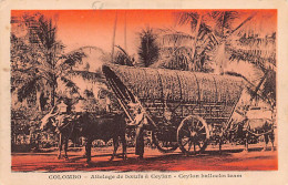 Sri Lanka - Bullock Team - Publ. Grimaud  - Sri Lanka (Ceylon)