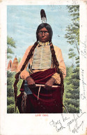 Native Americana - Low Dog, Indian Chief - Indianer