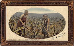 South Africa - In The Mealie Field - Native Women At Work - Publ. Hallis & Co.  - Zuid-Afrika