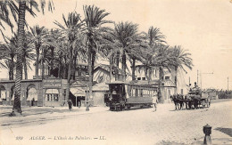 ALGER - L'Oasis Des Palmiers - Tramway - Ed. LL Lévy 289 - Alger