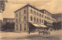 RAGAZ (SG) Hôtel Schweizerhof - Pferdekutschen - Verlag J. FetzerJ. Fetzer  - Bad Ragaz