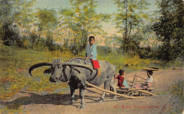 Philippines - Rural Transportation - Publ. Denniston's  - Filippijnen