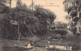 Viet Nam - TONKIN - Cueillette De La Salade Annamite - Ed. P. Dieulefils 19 - Viêt-Nam