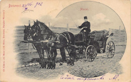 Romania - BUCUREȘTI - Muscal - Ed. Ad. Maier & D. Stern 675 - Roemenië