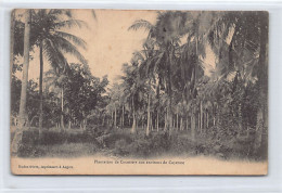 Guyane - Environs De Cayenne - Plantation De Cocotiers - Ed. Hudon Frères  - Cayenne