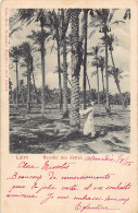 Egypt - CAIRO - Gathering Dates - Publ. Carlo Mieli  - El Cairo