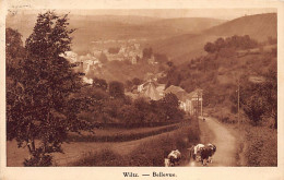 Luxembourg - WILTZ - Bellevue - Ed. J. Kaemmerer  - Wiltz