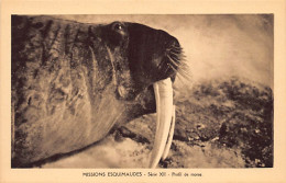 Canada - Eskimo Missions, Nunavut - Walrus Profile - Publ. Oblate Missionaries Of Mary Immaculate - Serie XII - Nunavut