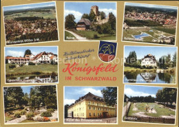 72198852 Koenigsfeld Schwarzwald Total Ruine Waldau Schwimmbad Gaestehaus Vogeln - Sonstige & Ohne Zuordnung