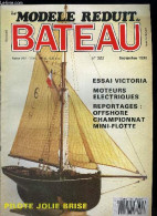 LE MODELE REDUIT DE BATEAU N° 322 - Moteurs électriques, Chaloupe Victoria, Championnat De France Offshore 1990, 26e Cha - Economie