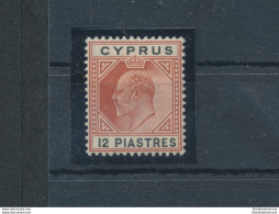 1904-10 Cipro, Stanley Gibbons N. 69 - 12 Piastre Chestnut And Black - MH* - Andere & Zonder Classificatie