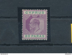 1902-04 Cipro, Stanley Gibbons N. 51 - 30 Piastre Violet And Green - MH* - Andere & Zonder Classificatie