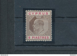 1902-04 Cipro, Stanley Gibbons N. 56 - 9 Piastre Brown And Carmine - MH* - Altri & Non Classificati