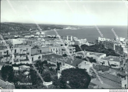 Bi514 Cartolina Vieste Panorama Provincia Di Foggia - Foggia