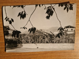19504.   Fotografia D'epoca Zafferana Etnea Aa '50 - 13,5x9 - Places