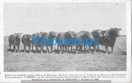 229269 ARGENTINA CORRIENTES PRODUCTOS ABERDEEN ANGUS COW EXPOSICION CONCORDIA 1925 POSTAL POSTCARD - Argentinien