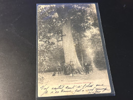 HAZEBROUCK  Gros Chêne à 9 Kilomètres - Hazebrouck
