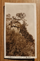 19505.   Fotografia D'epoca Persone In Posa Zafferana Etnea 1927 - 10,5x6,5 - Orte