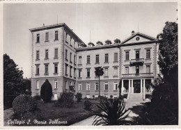 Collegio Santa Maria Pallanza - Other & Unclassified