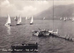 Luino Lago Maggiore Vele Sul Lago - Sonstige & Ohne Zuordnung