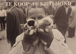 Carte Postale - Te Koop : 1 1/2 Kilo Hond (femme Avec 2 Chiots) Sortez Le Chien De La Ferme Industrielle - Werbepostkarten