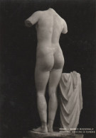 AD537 Venere Di Cirene - Roma - Museo Nazionale Romano - Scultura Sculpture - Scultura Sculpture - Skulpturen