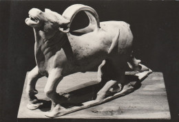 AD538 Askos Portaprofumi A Forma Di Toro Ferito - Ferrara - Necropoli Di Spina - Museo Archeologico - Scultura Sculpture - Antiek