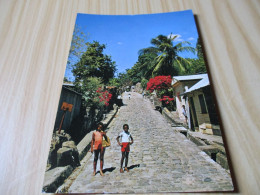 Saint-Pierre (Martinique).Rue Pavée De L'ancien St-Pierre - Carte Animée. - Autres & Non Classés